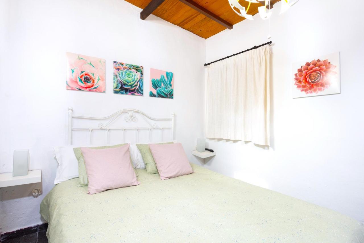 فيلا Casa Cateyma With Pool إيكود ذي لوس فينوس المظهر الخارجي الصورة
